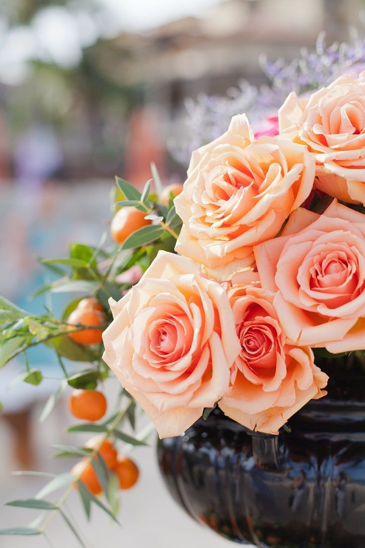roses