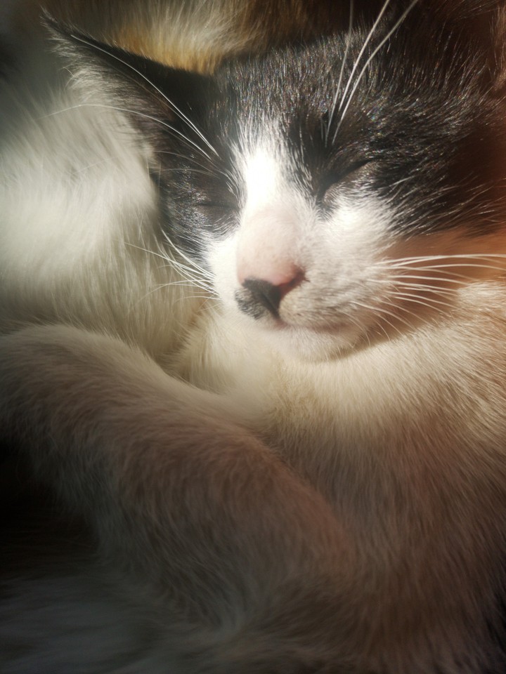 Oh, these sunbeams...
