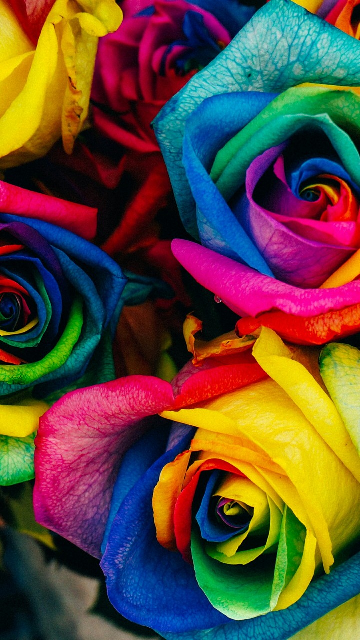 Colorful