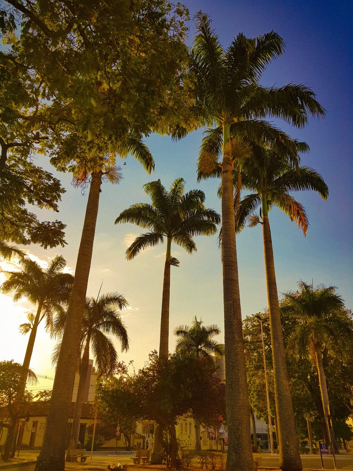 Tarde...