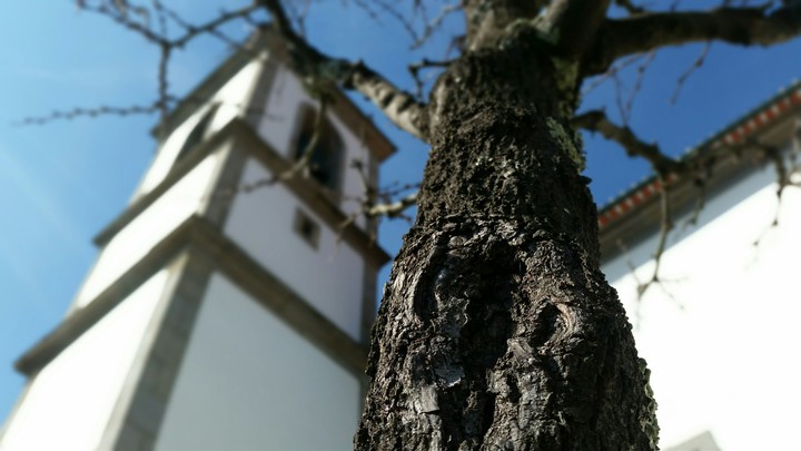 Desfoco