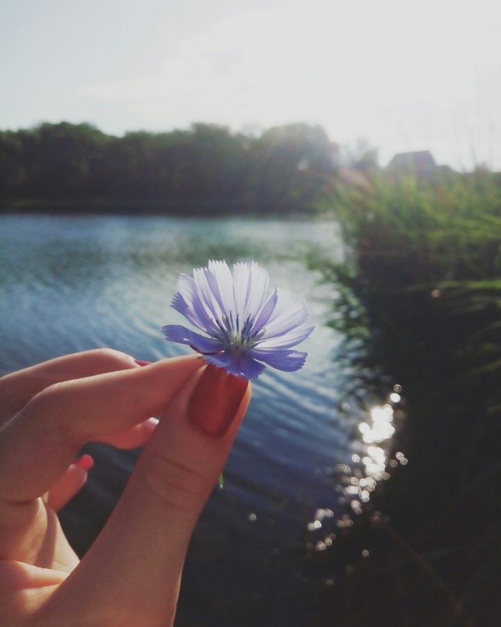 Nature and we