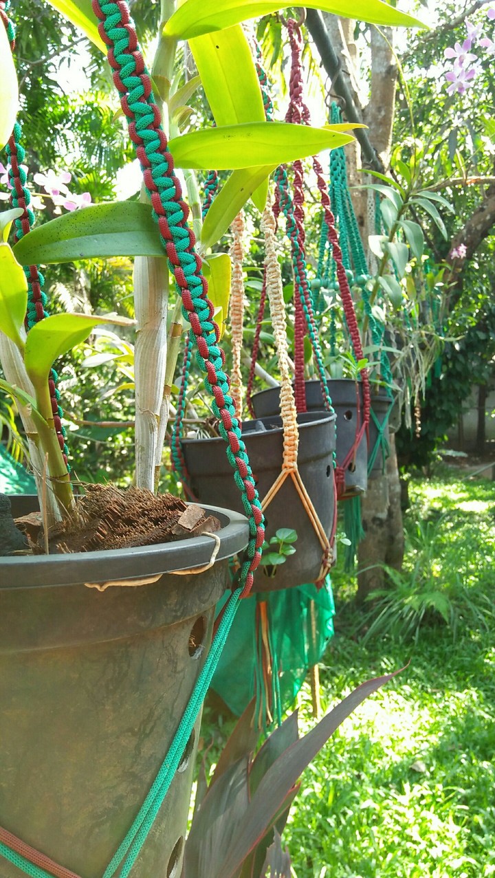 Home out side Garden
