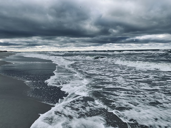 cold sea