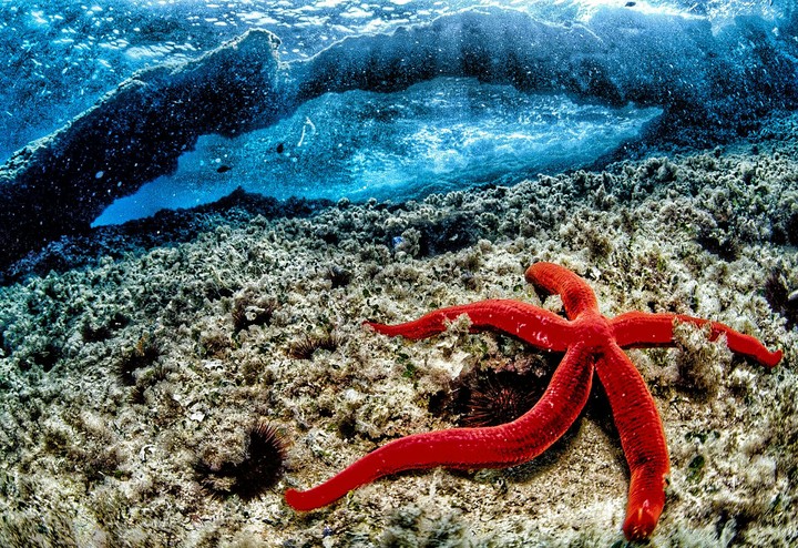 sea