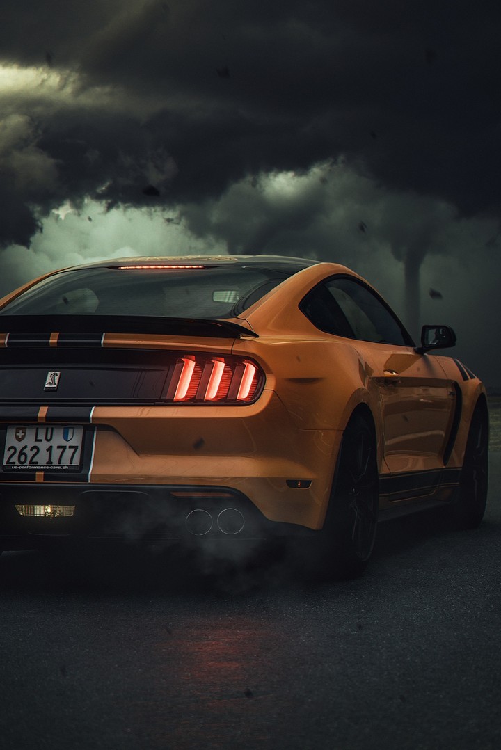 mustang