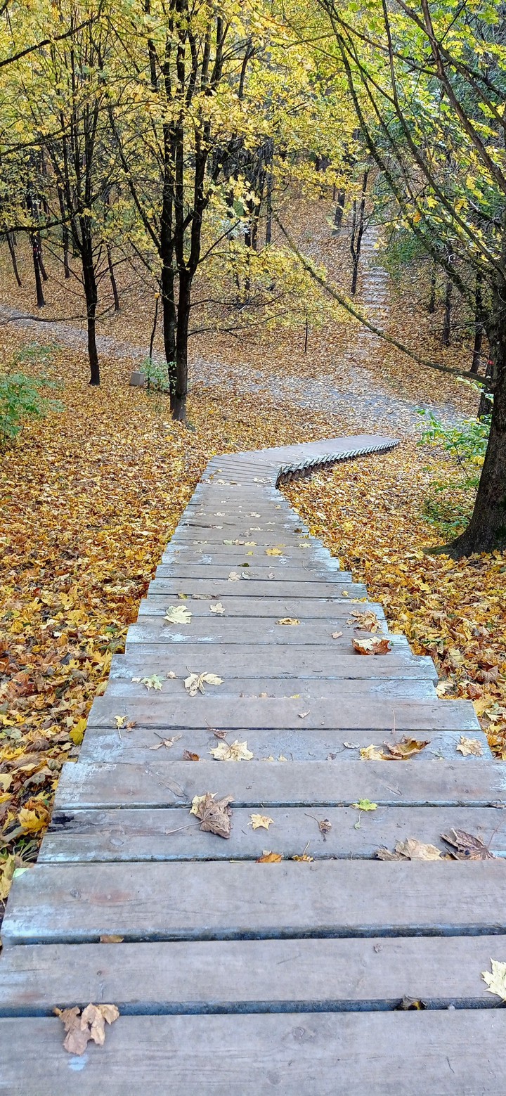 road to autumn