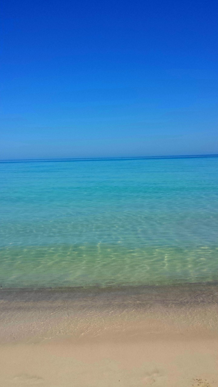 Ozean