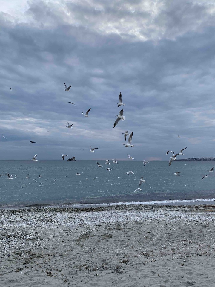 sea