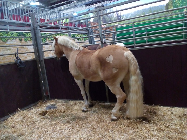 Hors.