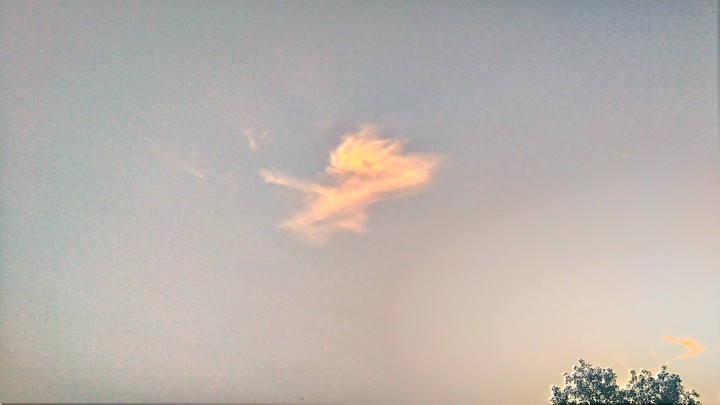 sky of Morning
