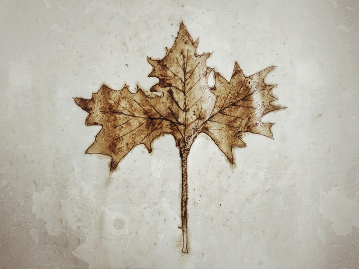 Raw coffee art