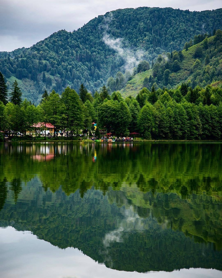 Artvin turkey