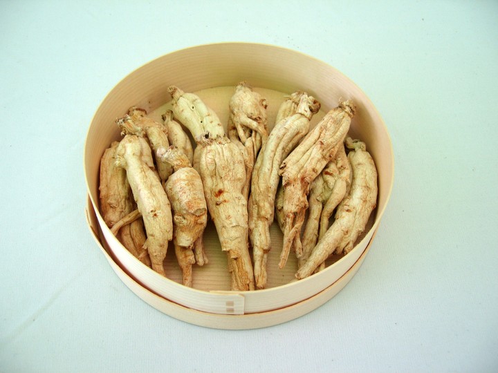 Herbal Medicine