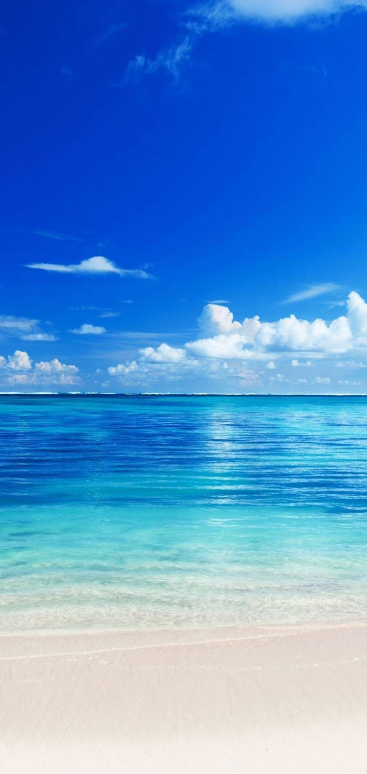 Ocean