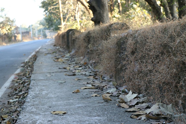 Foot path