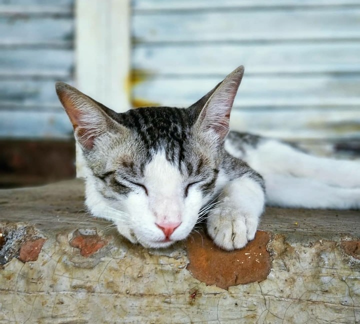 Asleep