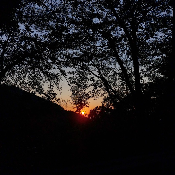 the sun and the scenery