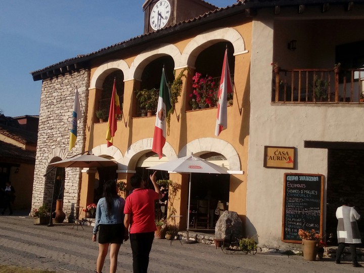 Valquirico aurina
