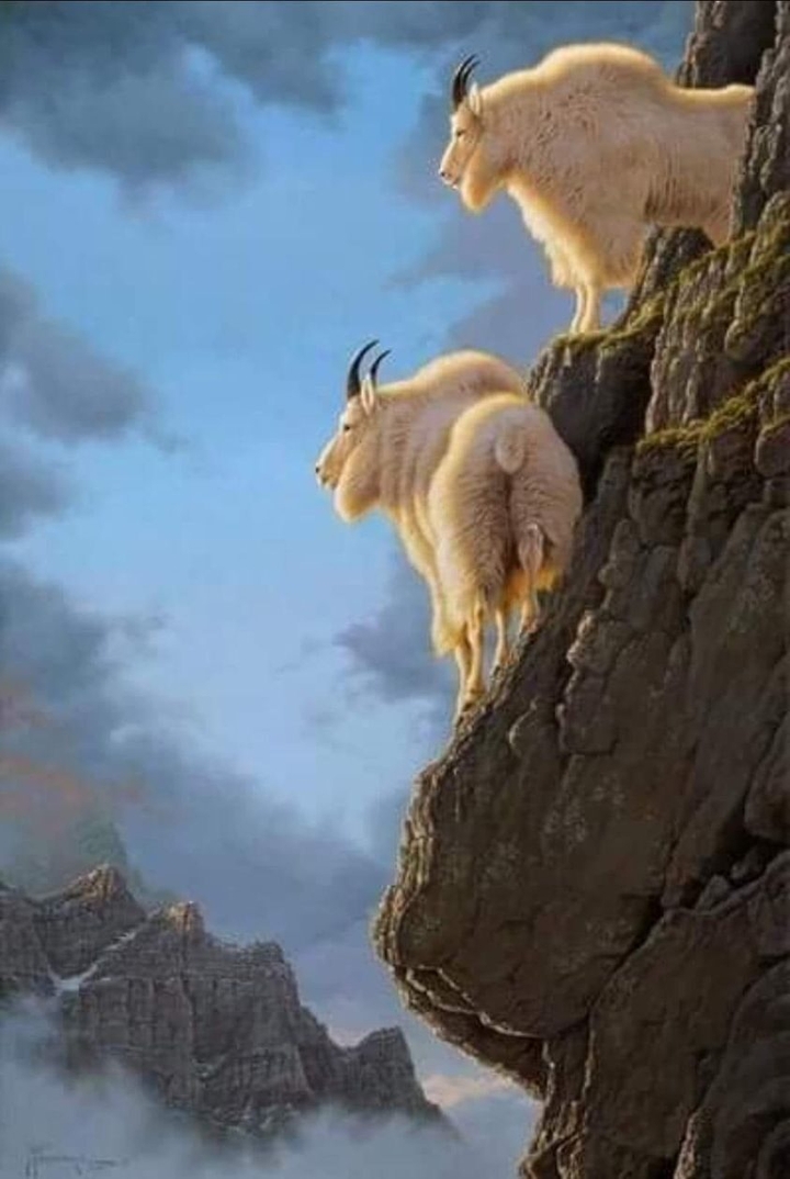 .