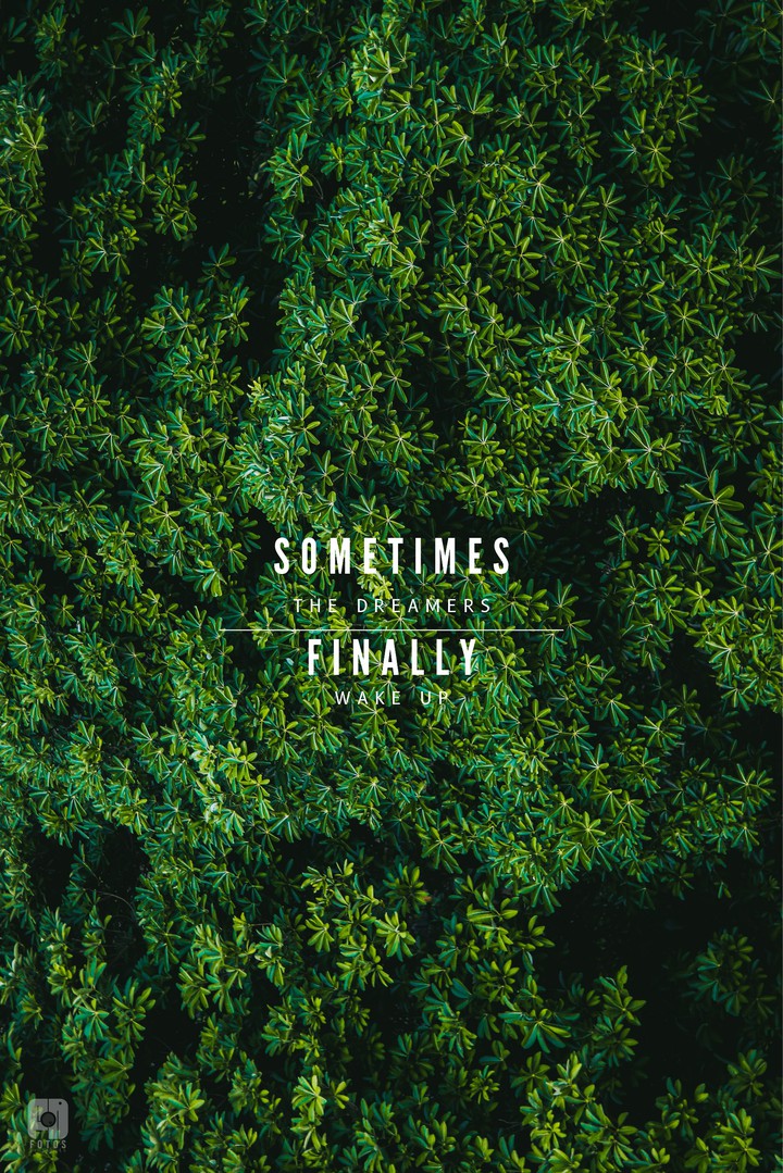 sometimes the dreamers finally wakeup
