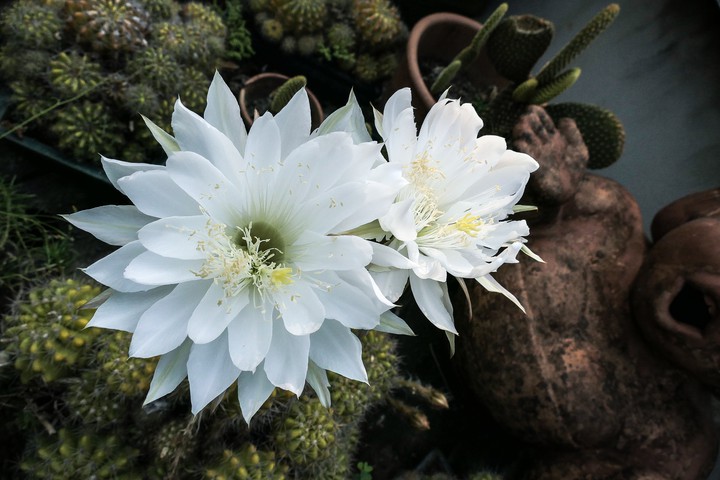 one​ day​ beauty