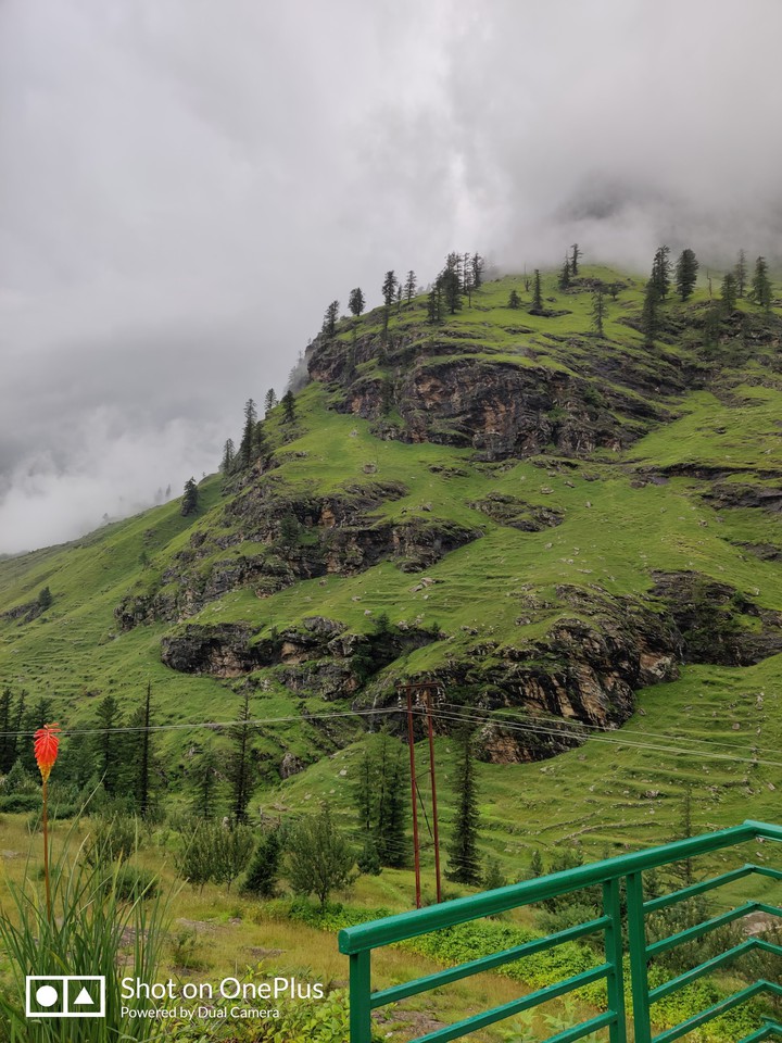 mountain