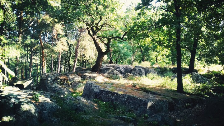 Kőmagas