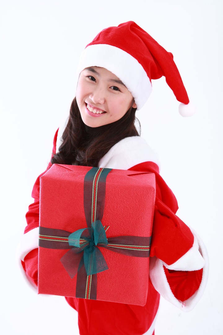Christmas Costume