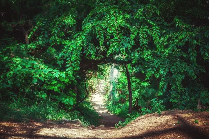 Secret Garden