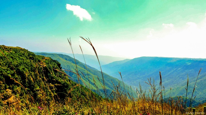 hills .