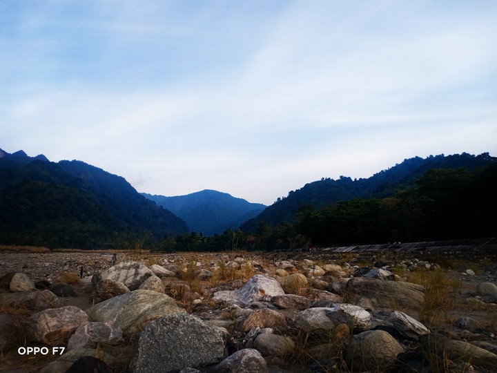 nature