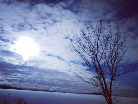 winter sun