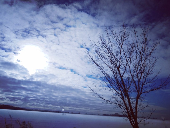 winter sun