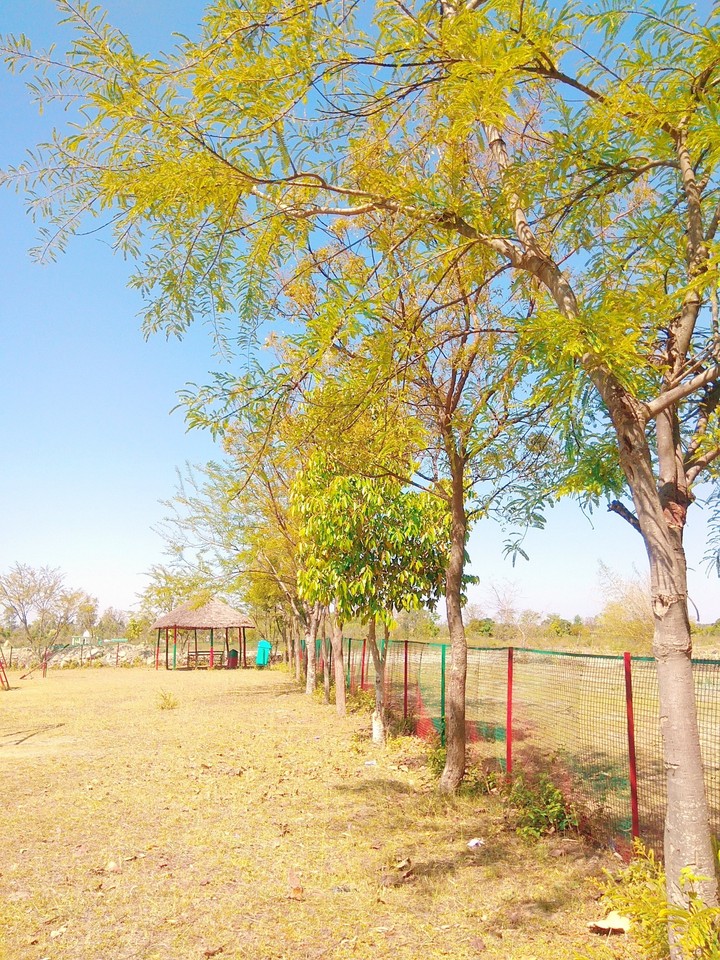Park