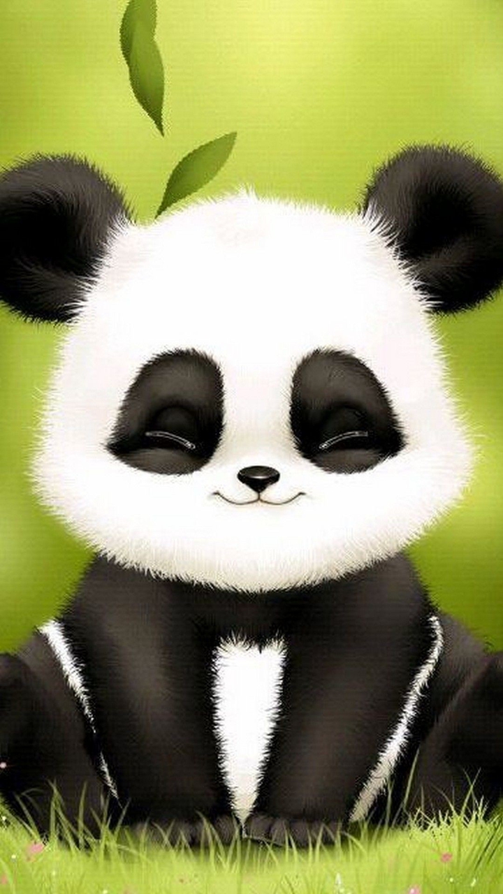 cute baby panda