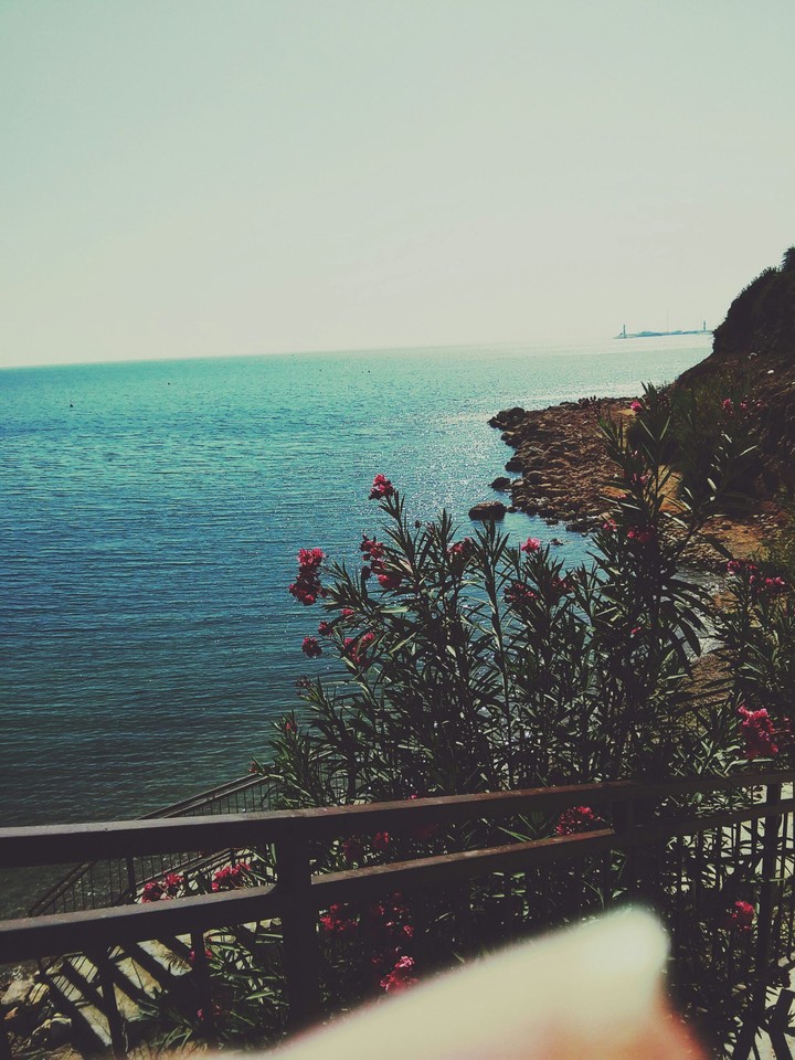 didim