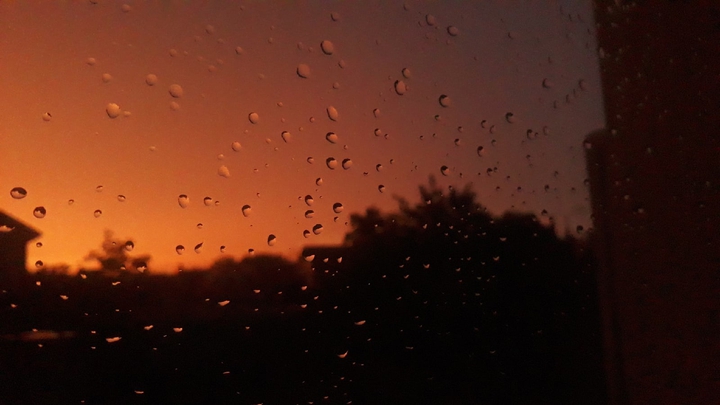 nature photography