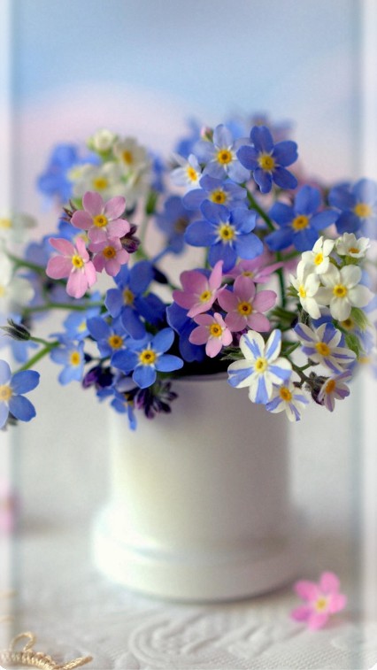 Blue flowers
