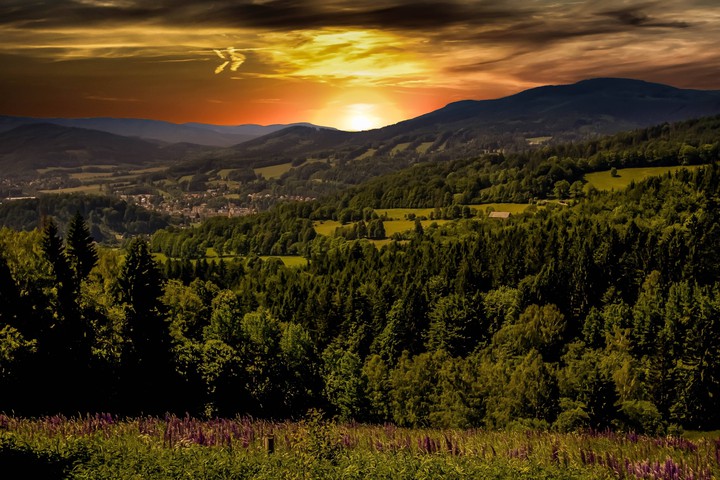 sunset