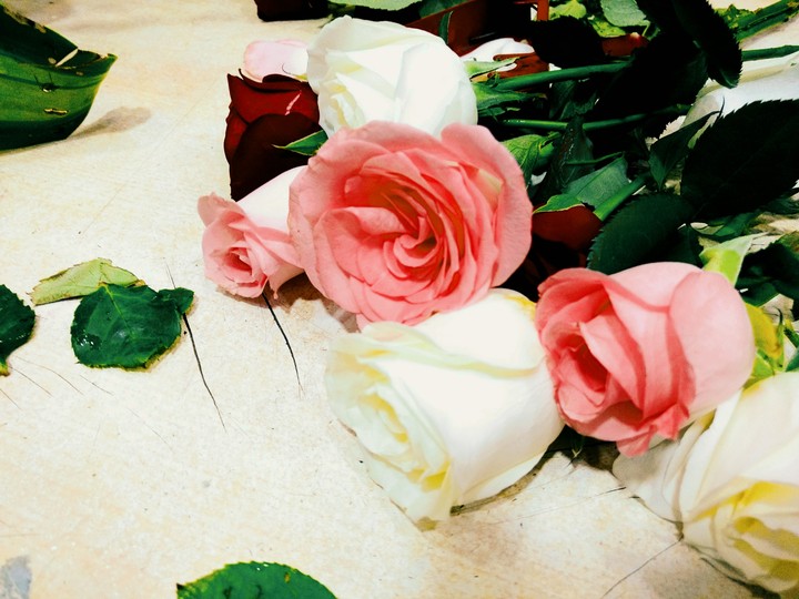 roses