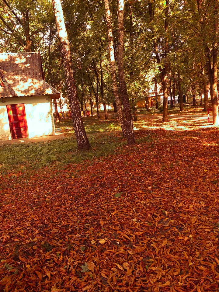 autumn