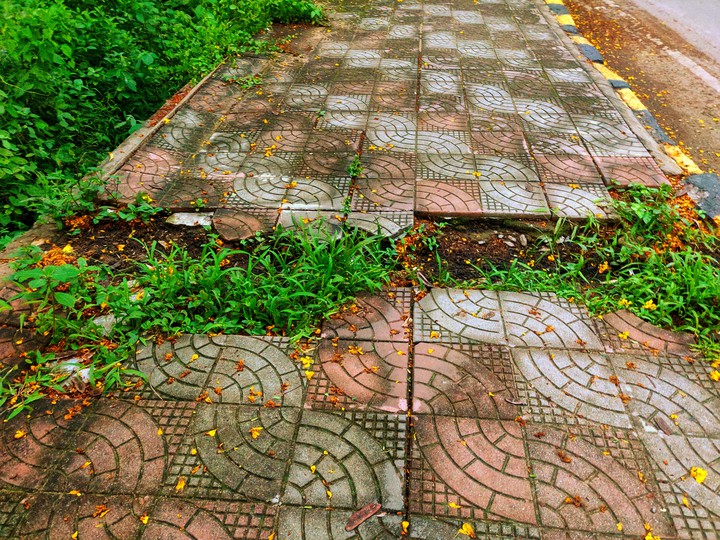 A break in the pathway