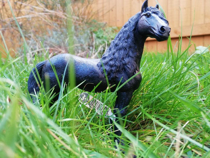 Schleich Friesian stallion