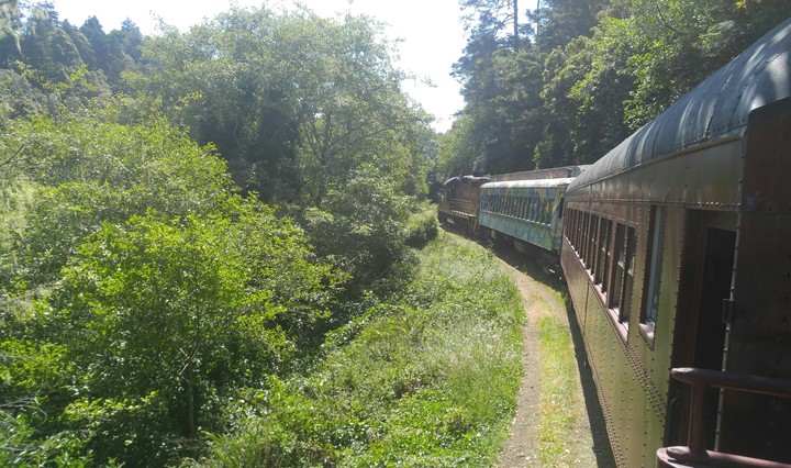 skunk train