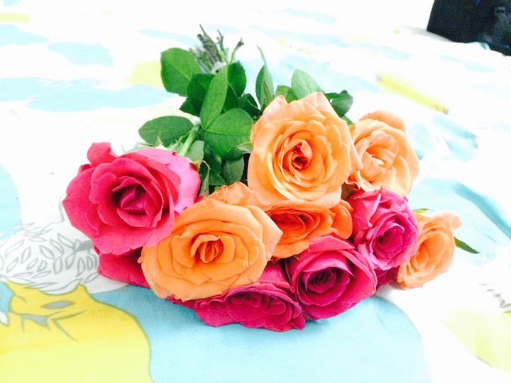 the roses 