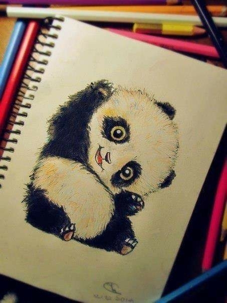cute..panda