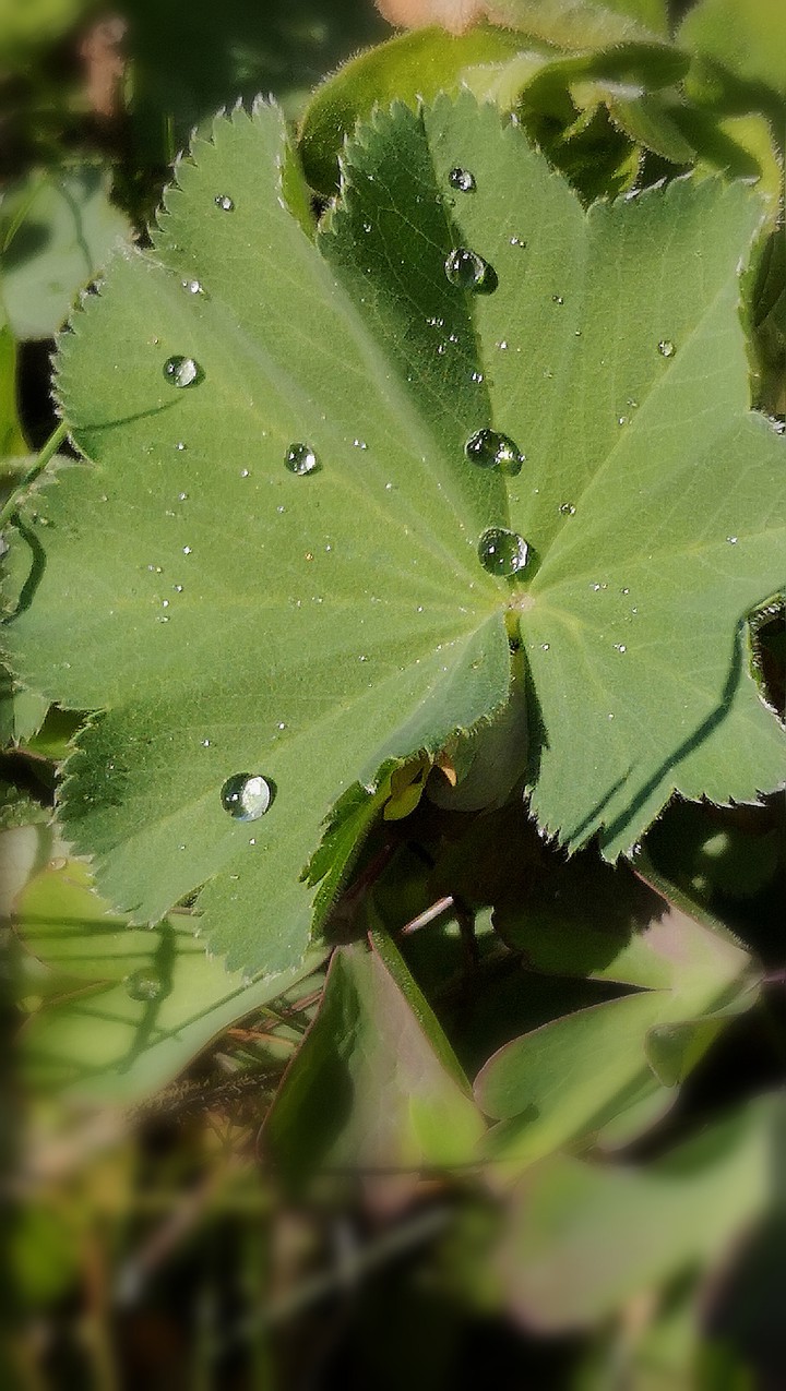 Regen Perlen Schmuck