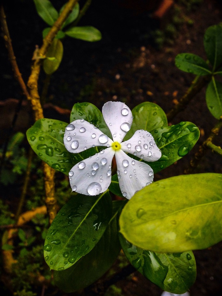Droplets