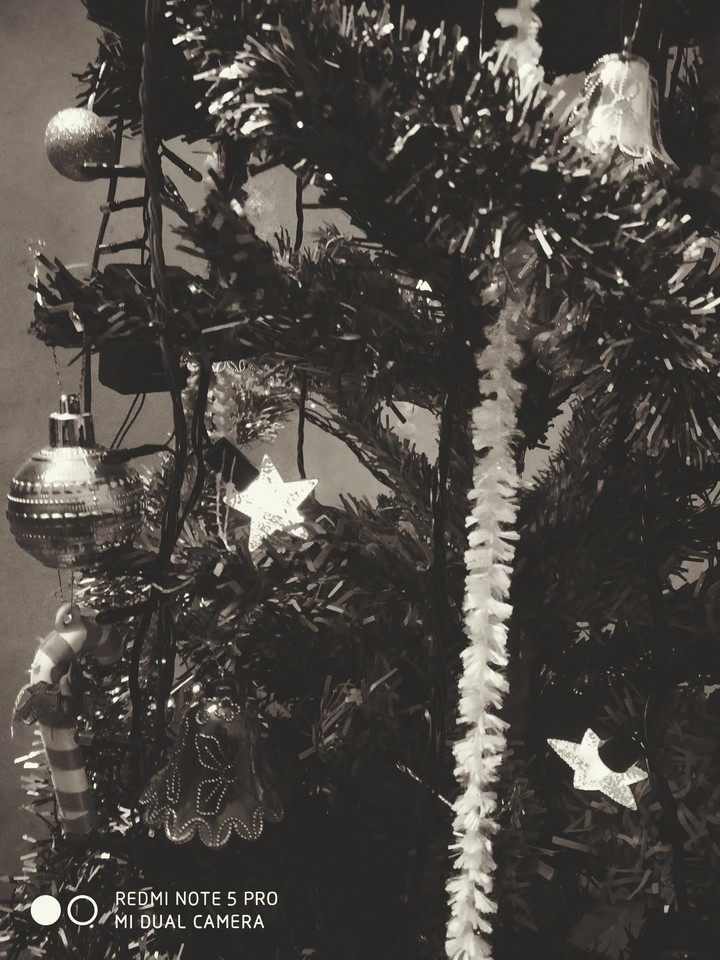 Christmas